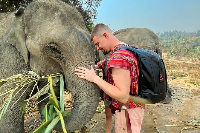 1 Day Eco Elephant Excursion - Karen Hill Welcome and a Cooked Buffet Lunch