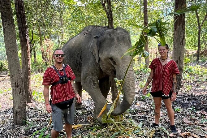 1 Day Eco Elephant Excursion - Mud Spa Session: Why the Elephants Get the Mess