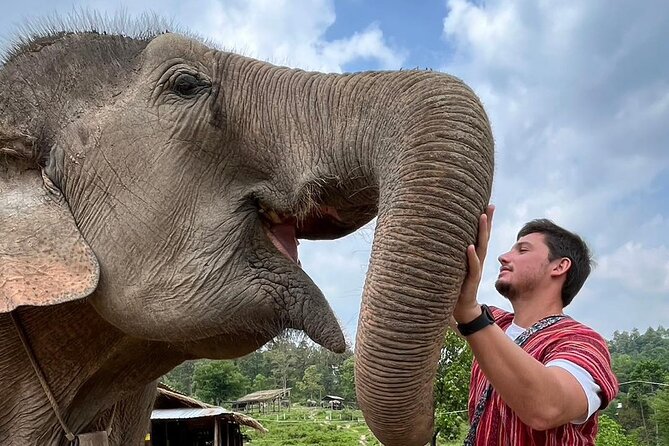 1 Day Eco Elephant Excursion - What the Day Feels Like, Based on Real Reactions