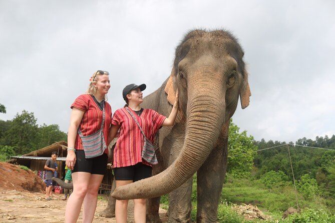 1 Day Eco Elephant Excursion - Price and Value: Is $79.08 Worth It?