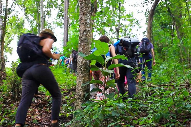 1 day private eco-trekking at Mae Sa Pok - Key highlights worth caring about