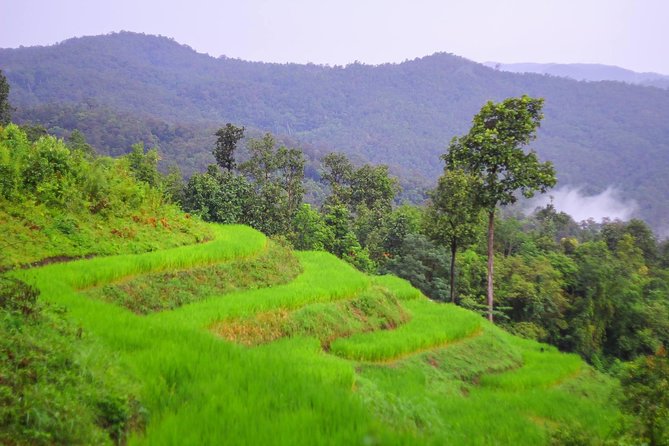 1 day private eco-trekking at Mae Sa Pok - Second jungle stretch and bamboo rafting: how the afternoon flows