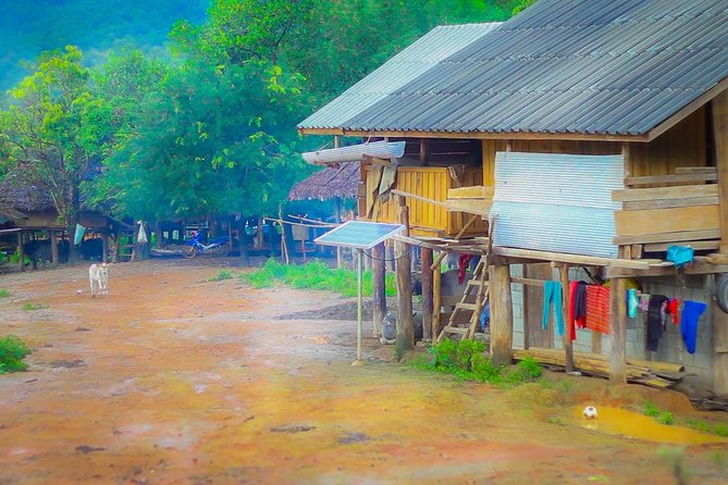 1 day private eco-trekking at Mae Sa Pok - Pickup at 8:00am: how the day starts (and why it helps)