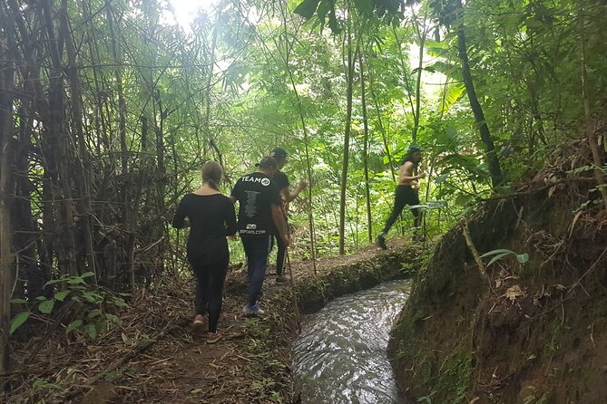 1 Day Trekking in Chiang Mai - A Mountain Day That Trades Crowds for Chiang Mai Province