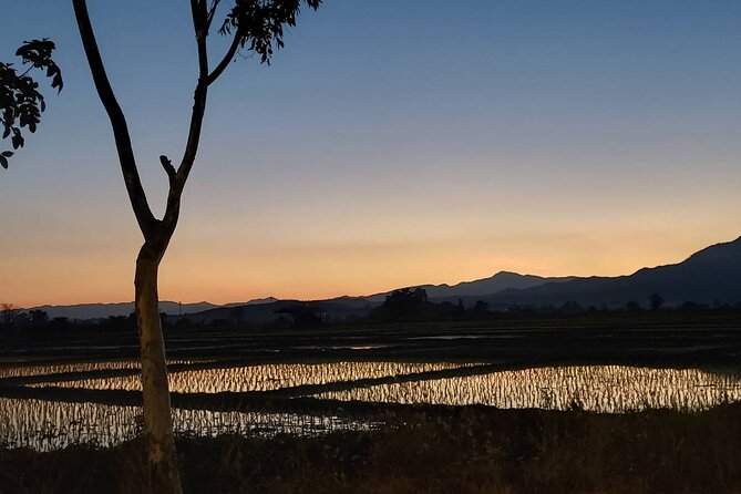 1 Day Trekking in Chiang Mai - How Challenging Is It, Really? Plan for a Full 9 to 11 Hours