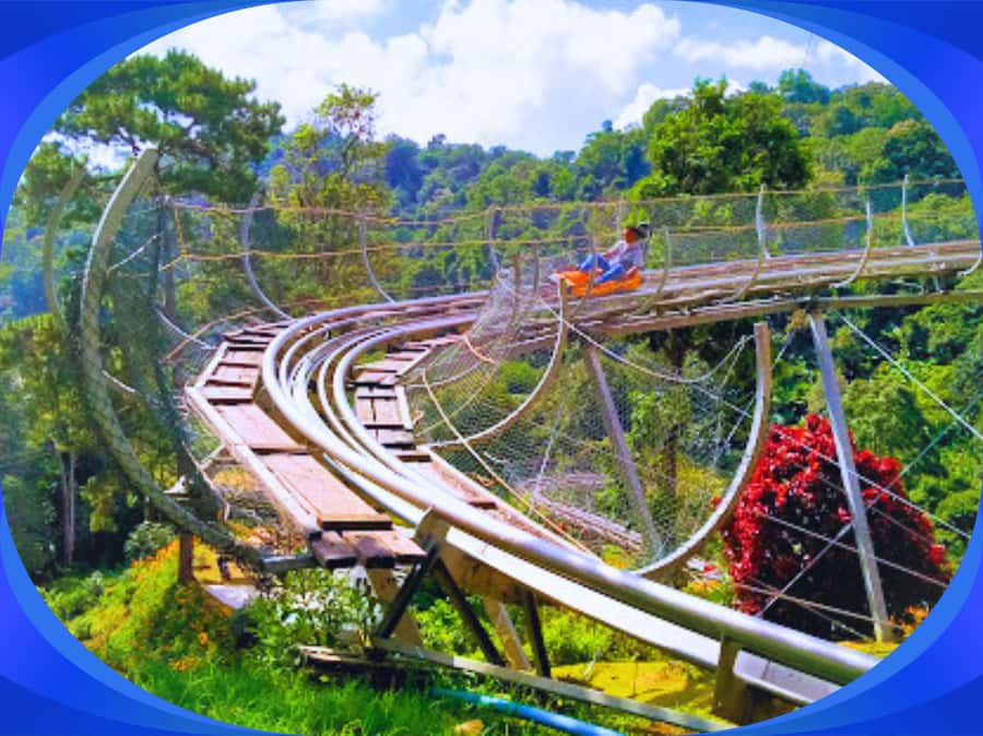 1-Day Trip: Chiang Mai to Mon Jam Adventure. - Key things I’d watch for