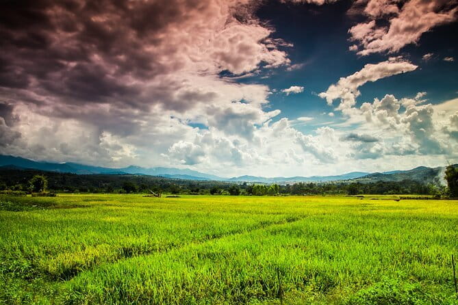 10 Day Motorcycle Tour (Amazing Thailand) from Chiang Mai - Day 1: Doi Inthanon National Park views into Mae Sariang riding day