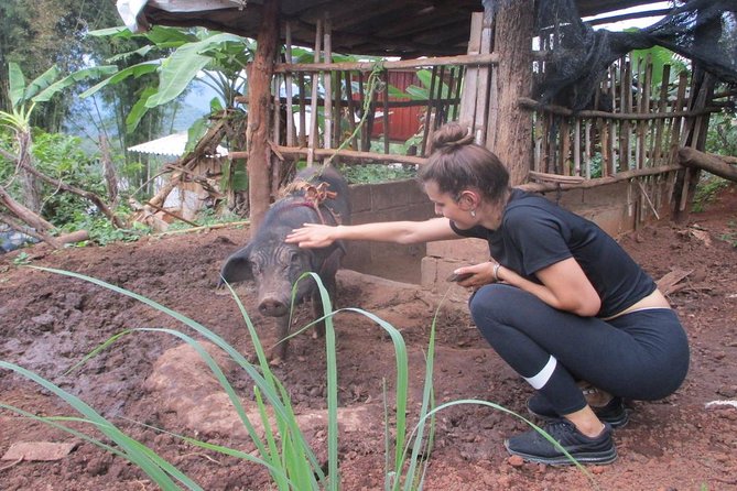 2-Day Karen Homestay – A Cultural Immersion - Downhill Morning Through Rice Fields to the Truck
