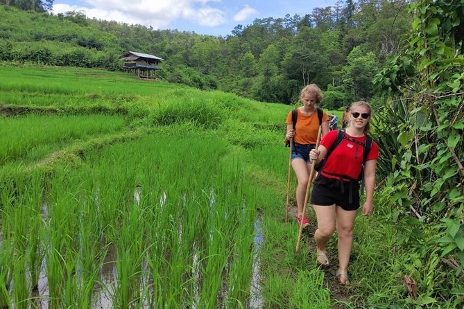 2-Day Karen Homestay – A Cultural Immersion - Who this Karen homestay suits best, and who should rethink it