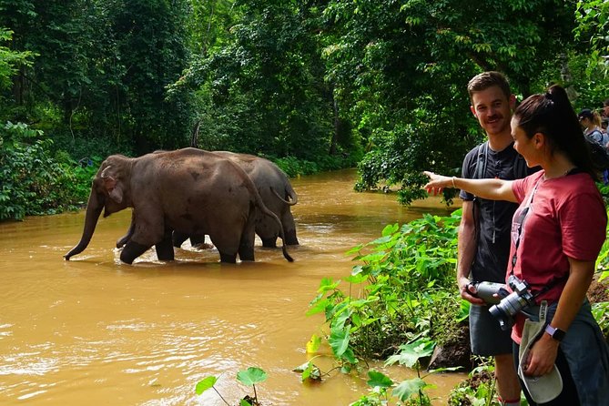 2-Day Kindred Spirit Elephant Sanctuary in Chiang Mai - Should you book Kindred Spirit in Chiang Mai?