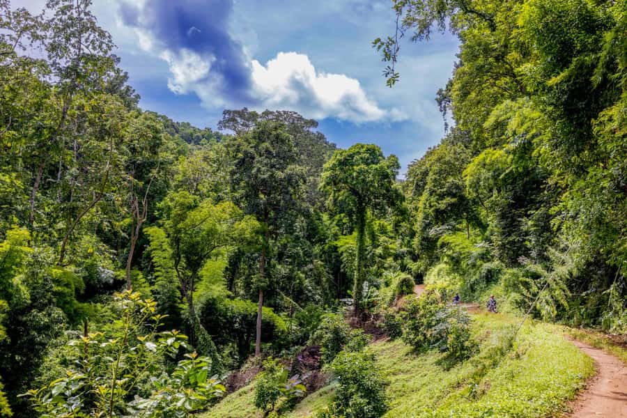 2 day overnight adventure off road scooter tour; Amaz views - Price and value: what $266 actually covers