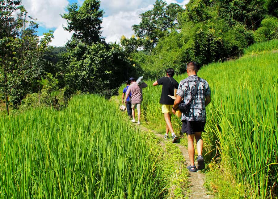 2 Days 1 Night: Eco Trekking to the White Pakayaw Village - Reaching White Pakayaw: Homestay Night In The Community