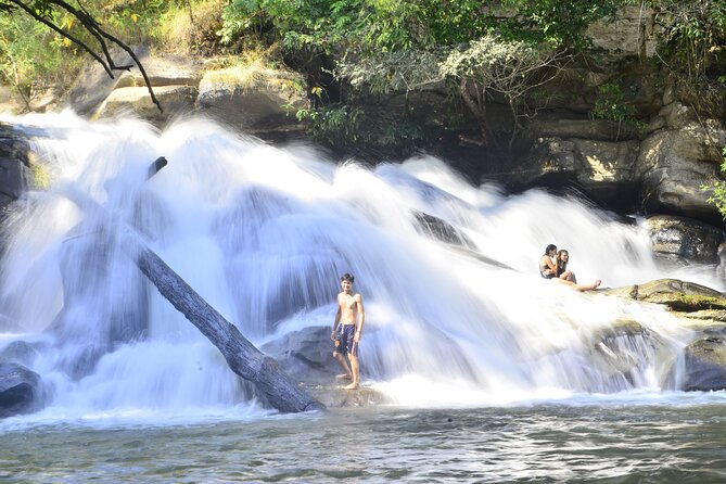 2 Days Hiking Tour in Chiang Mai - The trail experience: jungle pacing, banana gardens, and hidden waterfalls