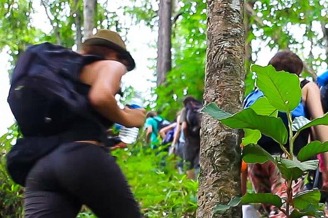 2D1N Mae Wang National Park Jungle Trekking Adventure from Chiang Mai - Day 2: Breakfast, Another 3-Hour Trek, and a Waterfall Swim