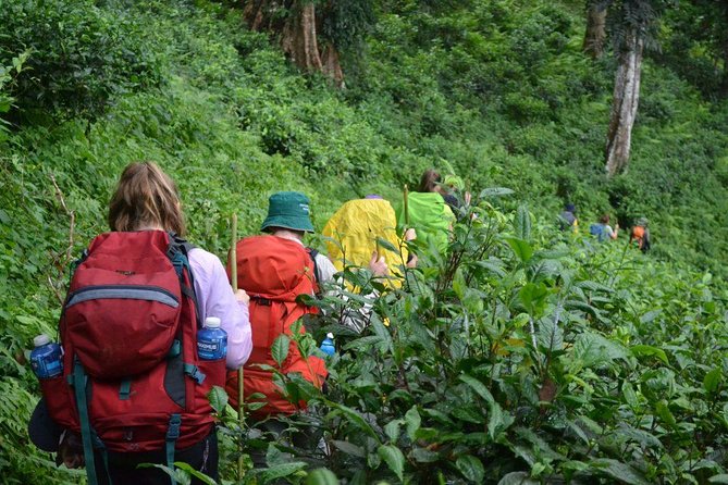 3-Day Chiang Dao Mountain Trek - Why Chiang Dao feels so different from Chiang Mai