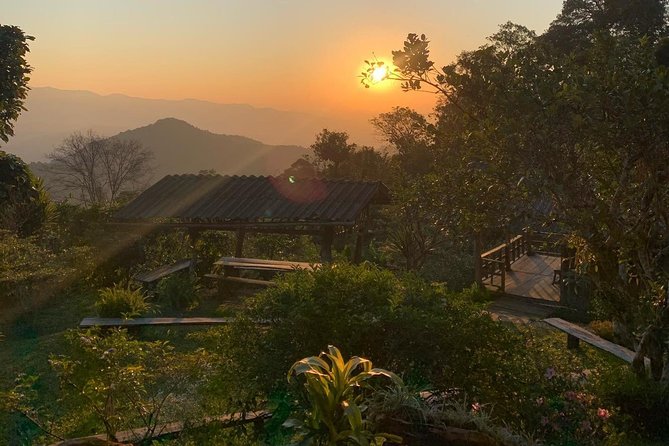 3-Day Chiang Dao Mountain Trek - Day 2: jungle and ridge trails, tea or coffee breakfast, and the real workout