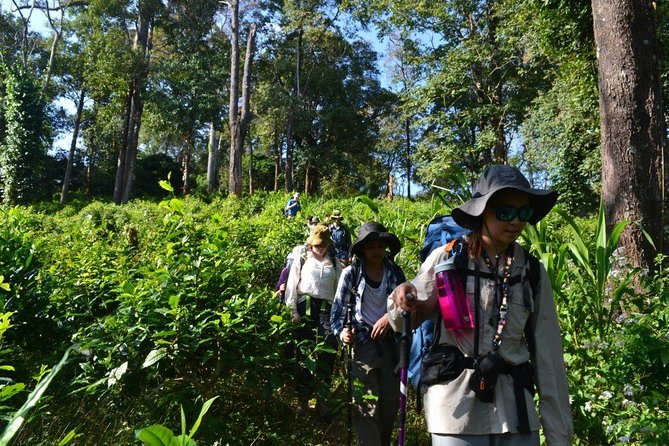 3-Day Chiang Dao Mountain Trek - Day 3: descent to the Maetang River valley, waterfall break, and riverside lunch