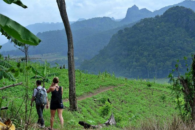 3-Day Chiang Dao Mountain Trek - Homestays: clean basics, solar power, and yes, bring earplugs
