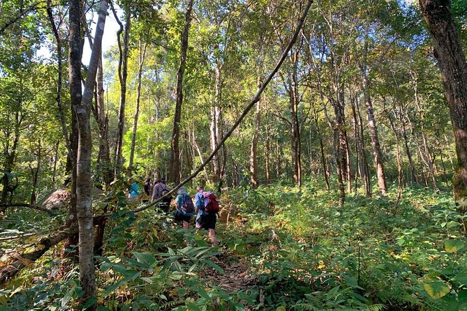 3-Day Chiang Dao Mountain Trek - Gear and fitness: what you really need for this 5 to 6 hour hiking requirement