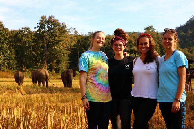 3-Day Kindred Spirit Elephant Sanctuary Chiang Mai - The ethical elephant focus: what you actually do in the sanctuary