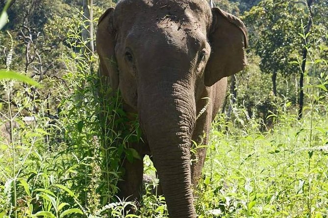 3-Day Kindred Spirit Elephant Sanctuary Chiang Mai - Mae Chaem stop: a simple lunch break before the village stay