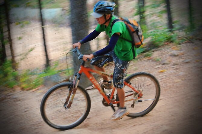 3-Day Mountain-Biking tour from Chiang Mai - Day 2 in Chiang Dao: Hot Spring, Cave Time, and a Local Market Break