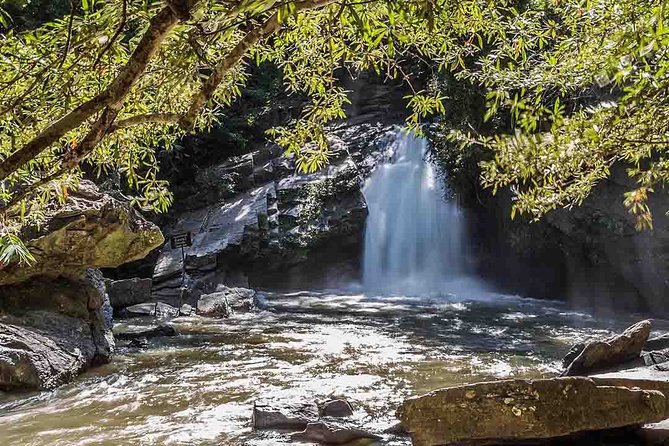 3 Days Trekking Tour to Mae Wang Jungle from Chiang Mai - Getting to Mae Wang Jungle: pickup times, truck rides, and what that means