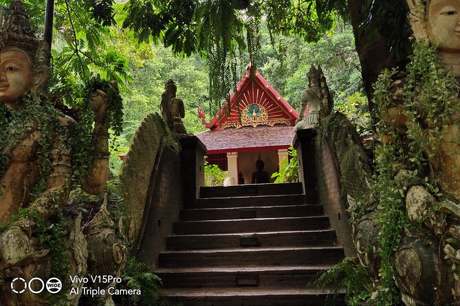 3 experiences: Doi Suthep Temple, Wat Phalat & Elephants - The elephant habitat stop: seeing elephants without turning it into a circus