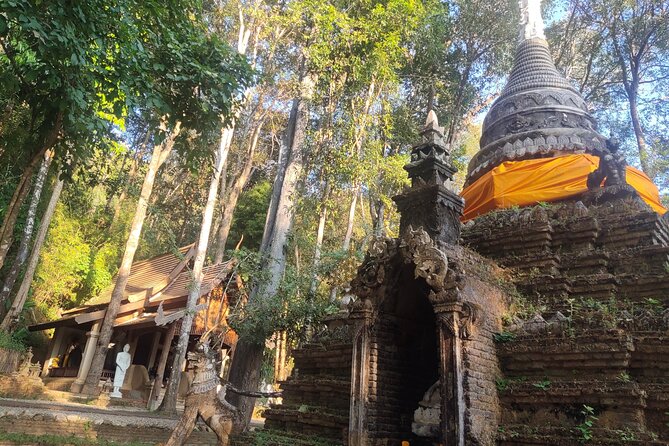 3 experiences: Doi Suthep Temple, Wat Phalat & Elephants - Value, price, and how the small-group setup helps