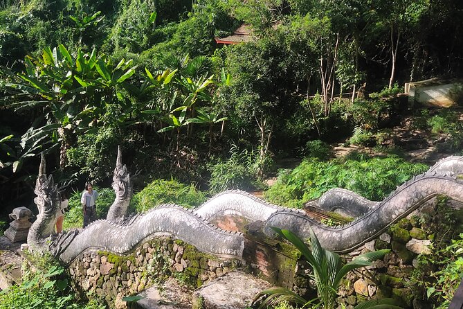 3 experiences: Doi Suthep Temple, Wat Phalat & Elephants - Should you book? My practical take