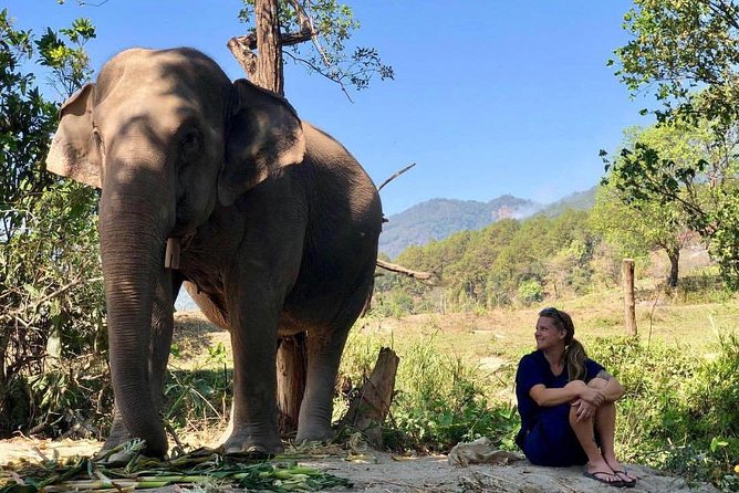 3-in-1: Doi Inthanon Tour, Elephant Sanctuary, and Trekking Trail - Ban Mae Klang Luang hill tribe village, coffee and calm