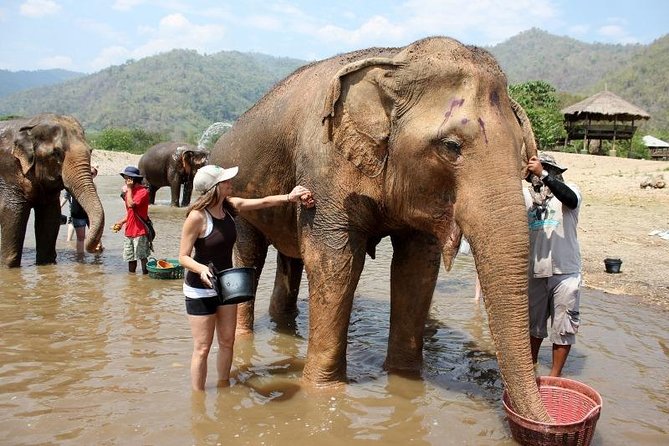 3D2NTrek Adventure at Chiang Mai Mea Wang Including Overnight at Karen Hilltribe - Bamboo rafting and the pacing: fun, but not the longest stretch