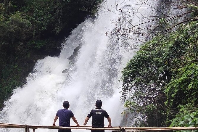 4 EXPERIENCES DAY TRIP. Sticky waterfalls, Elephants, Wat &Market - Who This Day Trip Fits Best (And Who Should Rethink It)