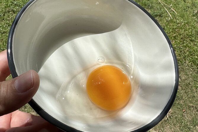 Aroidee’s Farm-Fresh Thai Cooking Experience - Getting to Wat Suan Dok and starting at 8:00 am