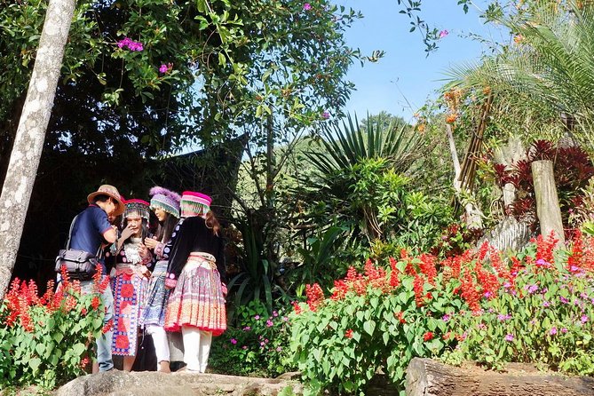 Authentic Chiang Mai Lifestyle Guided Tour - Price and what feels like a good deal at $81.58