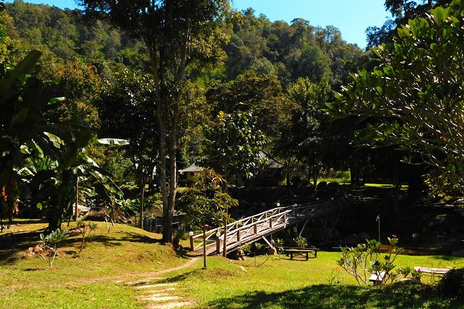 Authentic Mae Kham Pong Village Cultural Experience - The included traditional Thai massage, and how to get the most from it