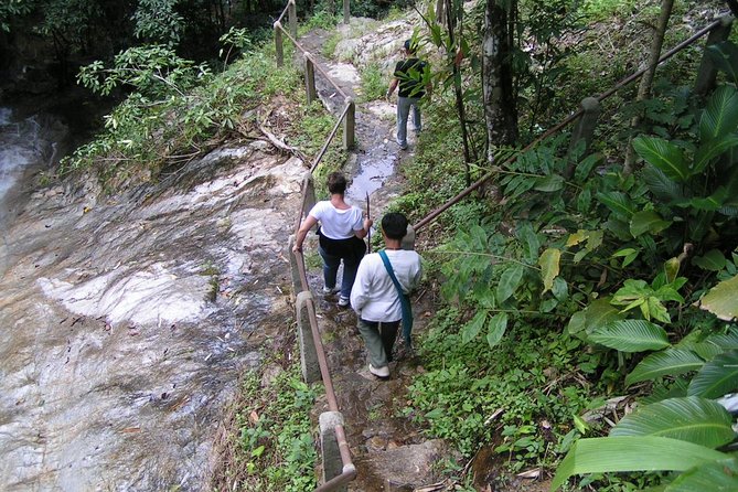Authentic Mae Kham Pong Village Cultural Experience - Mae Kampong Village: Karen community life and a village guide who sets the tone