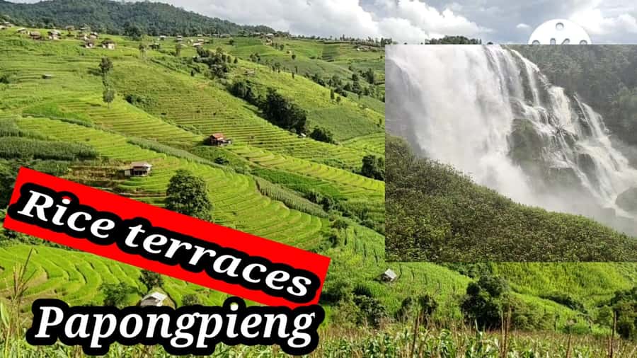 Ban Pa Pong Pieng Rice Terraces Private Guided Tour - Two Days in Chiang Mai’s Hills, Waterfalls, and Rice Terraces