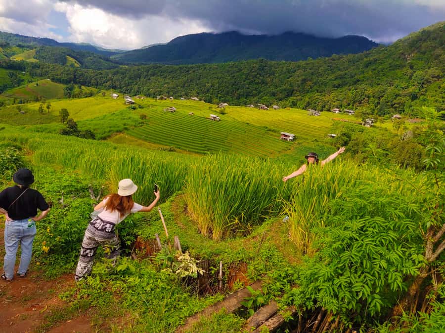 Ban Pa Pong Pieng Rice Terraces Private Guided Tour - Day 1 at Doi Inthanon: Maeklang, Summit Trails, and Twin Pagodas