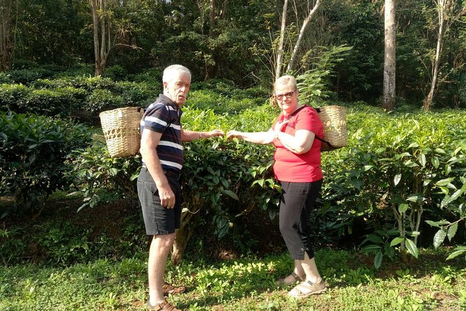 Bau Thong Waterfalls, Tea, and Wat Ban Den Private Tour - Wat Ban Den Temple Complex: Big Grounds, Cultural Time Without the Rush