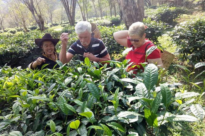 Bau Thong Waterfalls, Tea, and Wat Ban Den Private Tour - Lunch, Bottled Water, and What to Plan for Your Stomach