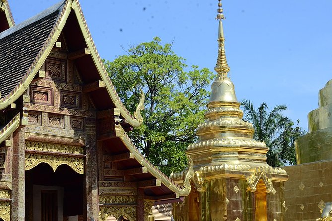 Best of Chiangmai day trip Temples and Sticky waterfall - Price and logistics: what $75.51 buys you in the real world