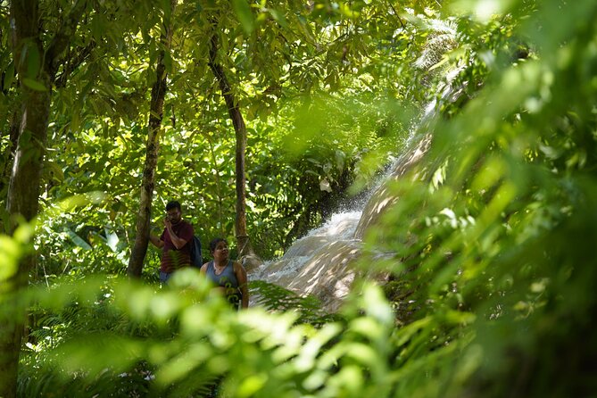 Bua Tong Waterfall Adventure& Huge Cave included Thai Buffet Tour - Picnic Lunch and Snacks: Getting Fed Before You Turn Back