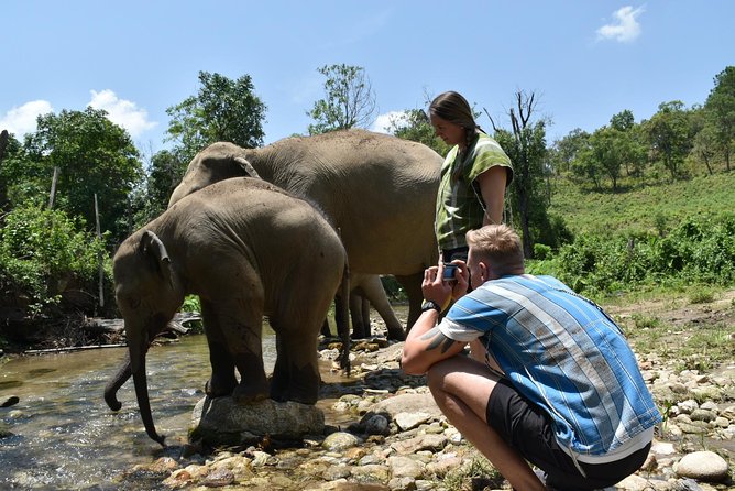 Care Pride Elephants: Full-Day Tour Experience - Price and value: is $91.31 a fair deal?