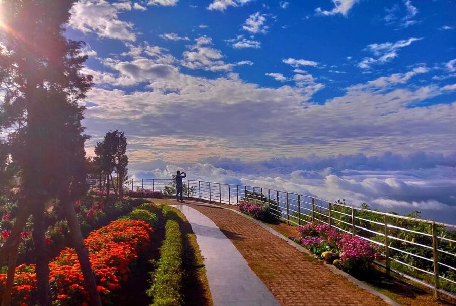 Chang Mai: Doi Inthanon Day Tour w/Waterfalls & Hilltribes - White Karen coffee plantation: the freshest stop on the schedule