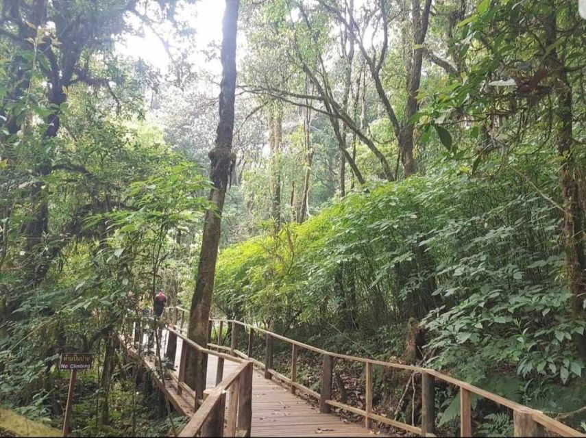 Chang Mai: Doi Inthanon Day Tour w/Waterfalls & Hilltribes - Pickup, meeting point, and how the morning pace is kept