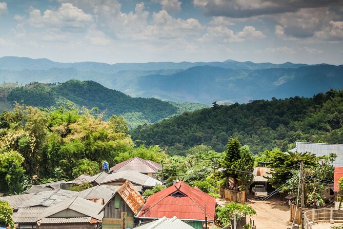 Chiang Dao Cave & 5 Hill Tribe villages - Bai Orchid and Butterfly Farm: see Thai orchids up close