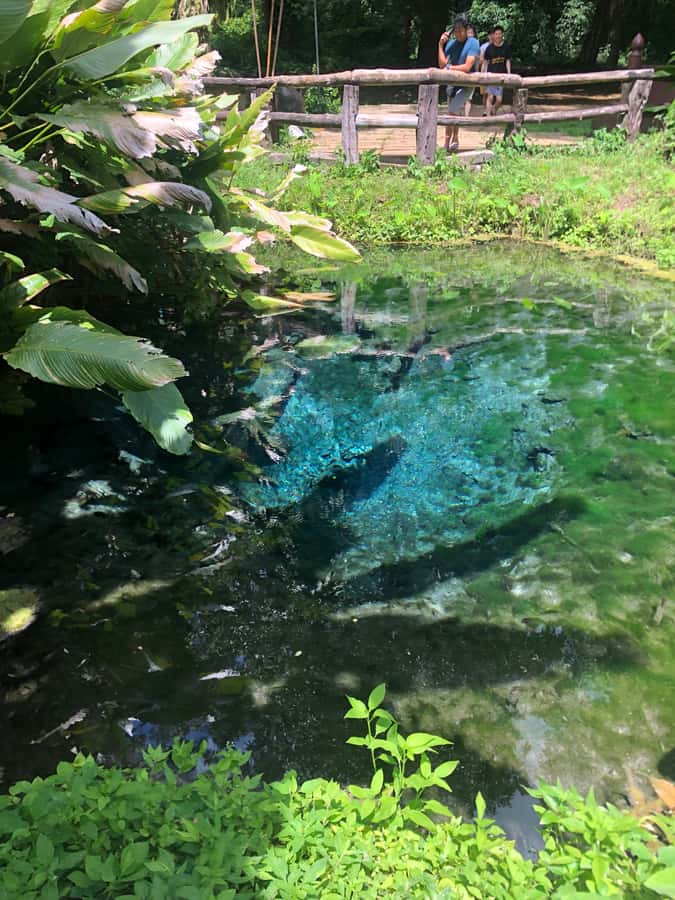 Chiang Dao Cave, Sticky Waterfall, Baan Den Temple Private - Bua Thong Sticky Waterfalls: Climb, Swim, and Stay Steady