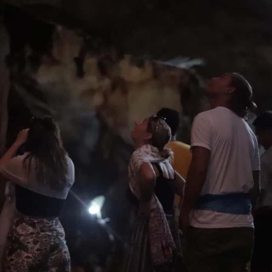 Chiang Dao Cave, Sticky Waterfall, Baan Den Temple Private - The Best Fit for You