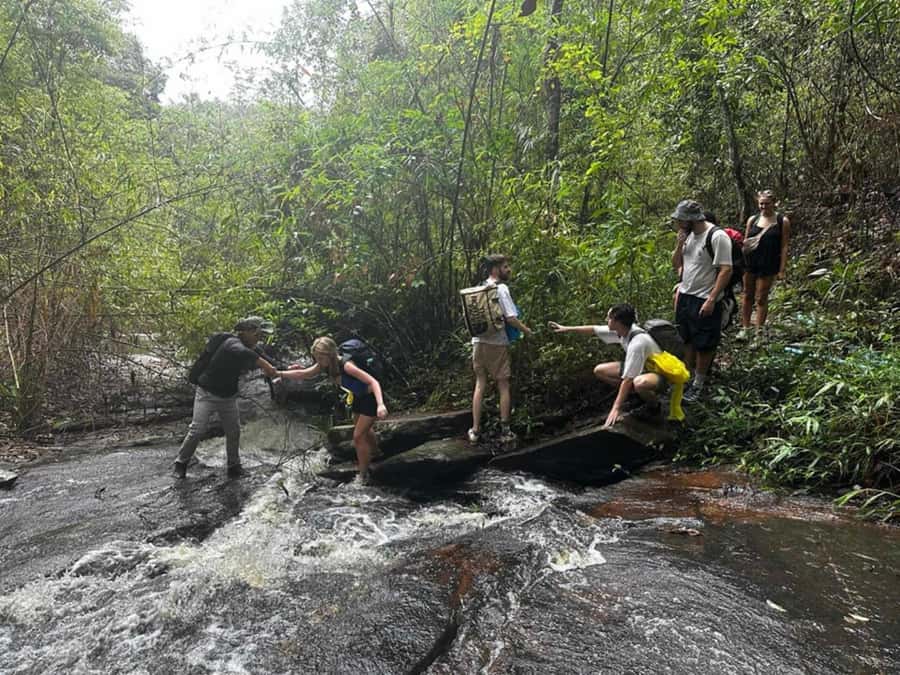 Chiang Mai: 1-Day Trekking Experience to Village & Waterfall - Mae Win District Trail: Jungle Steps, Farm Views, and Mountain Glimpses